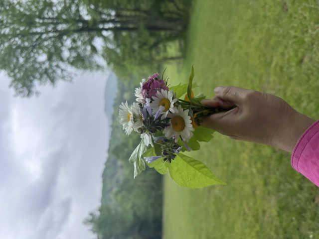 A hand holding a small wildflower bouquet against a misty mountain meadow
